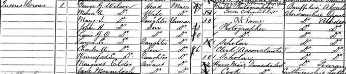 1881 Census record for George Washington Wilson