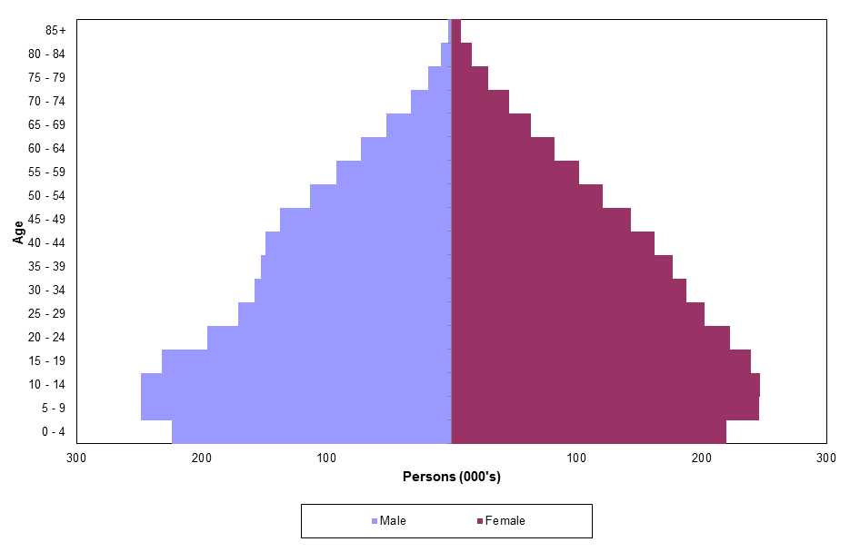 Graph showing estimated population by age and sex, 1919