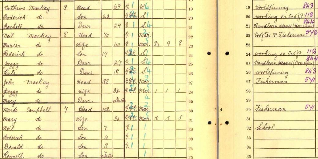 Detail form 1911 Census return for Reinigeadal