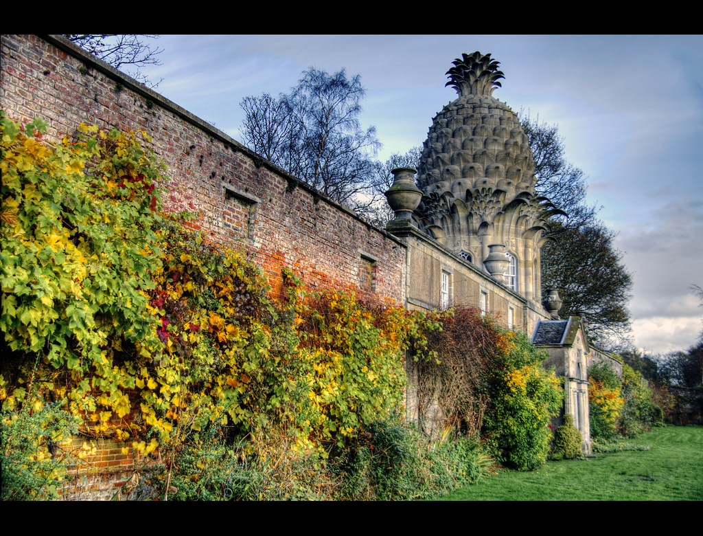 Image of the Dunmore Pineapple in Airth, Stirlingshire