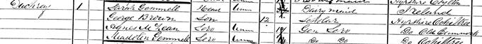 1881 Census record for George Douglas Brown