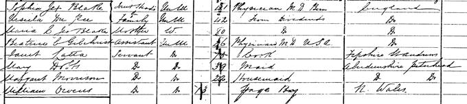1881 Census record for Sophia Jex-Blake
