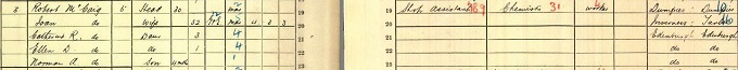1911 Census record for Norman McCaig