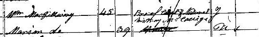 1841 Census record for William MacGillivray
