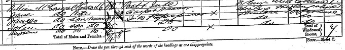 1891 Census record for William McGonagall