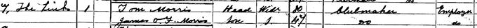 1901 Census record for Old Tom Morris