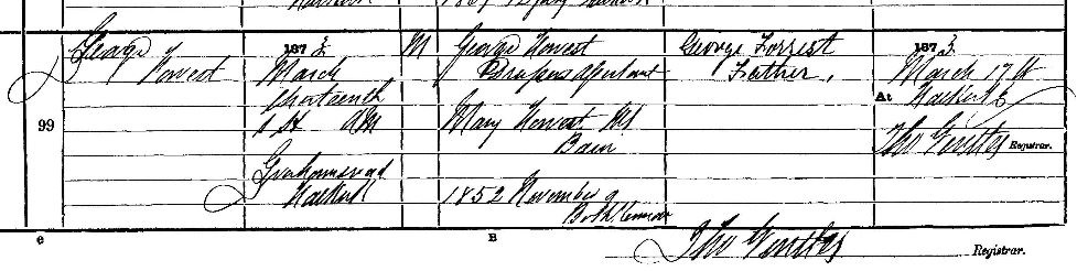 Birth entry for George Forrest, 1873