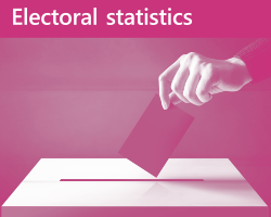 Electoral Statistics logo