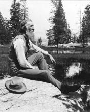 Picture of John Muir Library of Congress, Public domain, via Wikimedia Commons