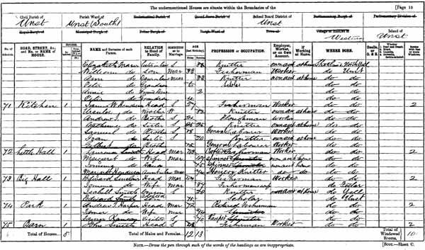 Image of a page from the 1901 census for Unst in Shetland