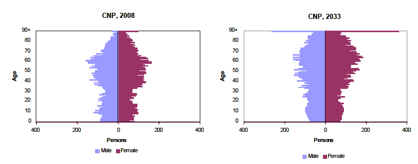 Figure 3: Estimated and projected population, by age and sex in CNP, 2008 and 2033