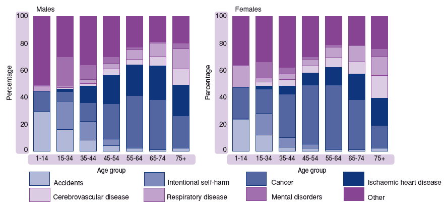 Figure 1.13 Deaths, by cause and age group, Scotland, 2002